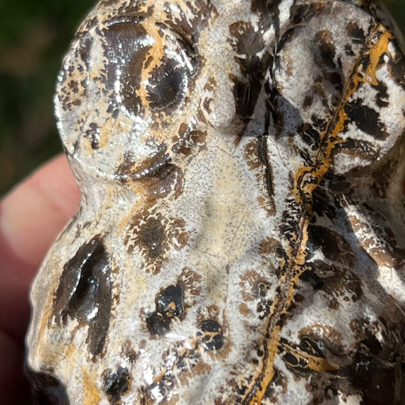 Picture jasper (1) owl craving | crystal - Picture 8 of 12